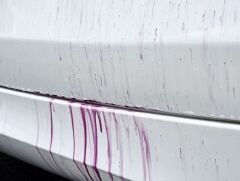 Polytop Equinox PH6 - Demir Tozu Temizleyici 10 LT