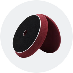 Süngerler <br>Keçeler