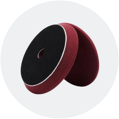 Süngerler <br>Keçeler